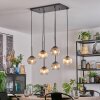 Koyoto Lampadario a sospensione, Lampada a sfera, Lampada a sospensione Ambrato, Chiaro, Grigio fumo, 6-Luci