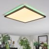 Zuren Plafoniera, Panel LED Nero, 1-Luce, Cambia colore