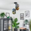 Koyoto Plafoniera, Lampada a sfera 31 cm Blu, Oro, Verde, Chiaro, 4-Luci