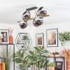 Koyoto Plafoniera, Lampada a sfera Oro, Nero, 8-Luci