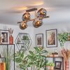 Koyoto Plafoniera, Lampada a sfera Oro, Nero, 8-Luci