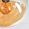 Gastor Plafoniera, Lampada a sfera Oro, Nero, 5-Luci