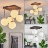 Gastor Plafoniera, Lampada a sfera Oro, Nero, 5-Luci