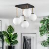 Gastor Plafoniera, Lampada a sfera Oro, Nero, 5-Luci