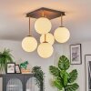 Gastor Plafoniera, Lampada a sfera Oro, Nero, 5-Luci