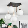 Gastor Plafoniera, Lampada a sfera Oro, Nero, 5-Luci