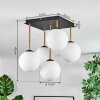 Gastor Plafoniera, Lampada a sfera Oro, Nero, 5-Luci