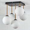 Gastor Plafoniera, Lampada a sfera Oro, Nero, 5-Luci
