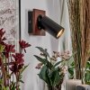 Dalan Applique, Faretto da parete LED Écru, Nero, 1-Luce
