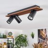 Dalan Plafoniera, Faretto da soffitto LED Écru, Nero, 3-Luci