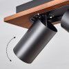 Dalan Plafoniera, Faretto da soffitto LED Écru, Nero, 3-Luci