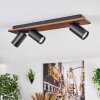 Dalan Plafoniera, Faretto da soffitto LED Écru, Nero, 3-Luci