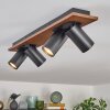 Dalan Plafoniera, Faretto da soffitto LED Écru, Nero, 4-Luci