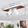Dalan Plafoniera, Faretto da soffitto LED Écru, Bianco, 2-Luci
