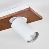 Dalan Plafoniera, Faretto da soffitto LED Écru, Bianco, 2-Luci