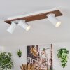 Dalan Plafoniera, Faretto da soffitto LED Écru, Bianco, 3-Luci