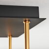 Gastor Plafoniera, Lampada a sfera Oro, Nero, 5-Luci