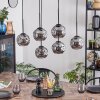 Ripoll Lampadario a sospensione, Lampada a sfera, Lampada a sospensione Grigio fumo, 6-Luci