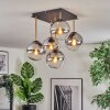 Gastor Plafoniera, Lampada a sfera Oro, Nero, 5-Luci