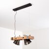 Oksbol Lampada a Sospensione Legno scuro, Nero, 2-Luci