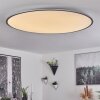 Champa Plafoniera LED Argento, 1-Luce, Telecomando