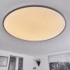 Champa Plafoniera LED Argento, 1-Luce, Telecomando