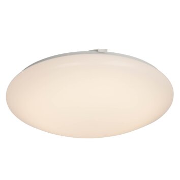 AEG Basic Plafoniera LED Bianco, 1-Luce AEG Basic Plafoniera LED Bianco, 1-Luce