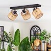 Barcos Plafoniera, Faretto da soffitto Nero, 3-Luci