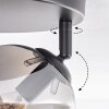 Gastor Plafoniera, Lampada a sfera 25 cm Grigio fumo, 3-Luci