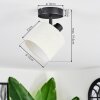 Bassagoda Plafoniera, Faretto da soffitto Nero, 1-Luce