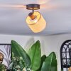 Sabadim Plafoniera, Faretto da soffitto Nero, 1-Luce