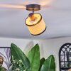 Chellas Plafoniera, Faretto da soffitto Nero, 1-Luce