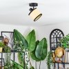 Chellas Plafoniera, Faretto da soffitto Nero, 1-Luce
