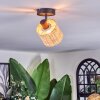 Cavaca Plafoniera, Faretto da soffitto Nero, 1-Luce
