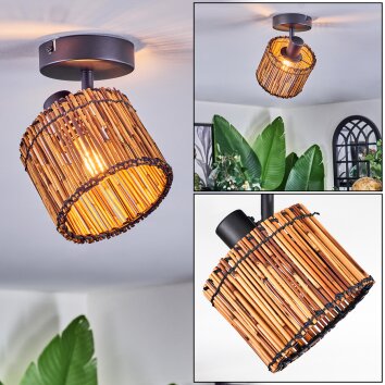 Cando Plafoniera, Faretto da soffitto Nero, 1-Luce