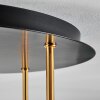 Koyoto Plafoniera, Lampada a sfera 45 cm Ottone, Nero, 5-Luci