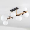 Chehalis Plafoniera, Lampada a sfera Oro, Nero, 8-Luci