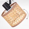 Barcos Plafoniera, Faretto da soffitto Nero, 1-Luce