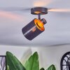 Fallhagen Plafoniera, Faretto da soffitto Nero, 1-Luce