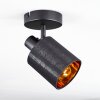 Fallhagen Plafoniera, Faretto da soffitto Nero, 1-Luce