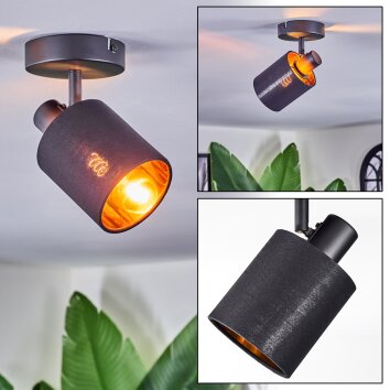 Fallhagen Plafoniera, Faretto da soffitto Nero, 1-Luce