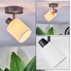 Fallhagen Plafoniera, Faretto da soffitto Nero, 1-Luce