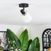 Fallhagen Plafoniera, Faretto da soffitto Nero, 1-Luce