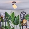 Fallhagen Plafoniera, Faretto da soffitto Nero, 1-Luce