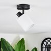 Fallhagen Plafoniera, Faretto da soffitto Nero, 1-Luce