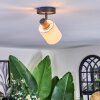 Fallhagen Plafoniera, Faretto da soffitto Nero, 1-Luce