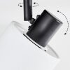 Fallhagen Plafoniera, Faretto da soffitto Nero, 1-Luce