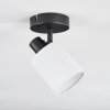 Fallhagen Plafoniera, Faretto da soffitto Nero, 1-Luce