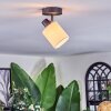 Fallhagen Plafoniera, Faretto da soffitto Nero, 1-Luce