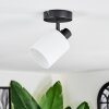 Fallhagen Plafoniera, Faretto da soffitto Nero, 1-Luce
